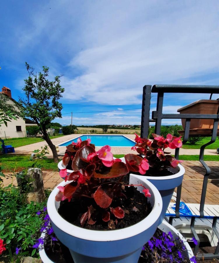 Holiday House Sweet Home Umag Exterior foto